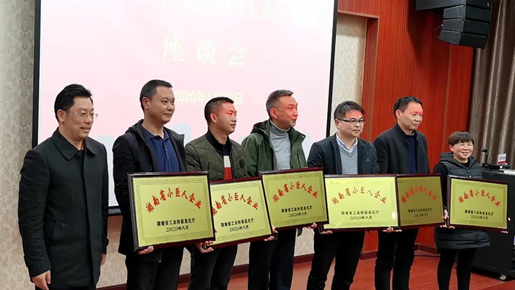 喜大普奔！炬神電子被評為湖南省“小巨人”企業(yè)